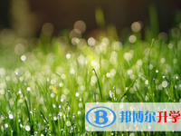 巴中2022年今年的中考成績