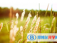 巴中2022年外地生中考怎沒成績