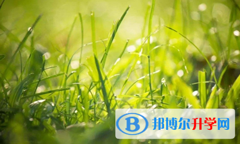 巴中2022年怎樣對待中考成績
