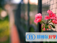 巴中2022年中考查詢系統的密碼記不到了怎么辦