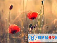 巴中2022年中考重點復習