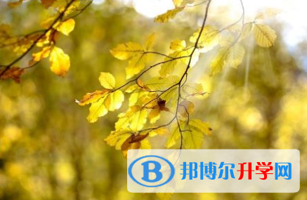 巴中2022年中考準考證