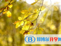 巴中2022年中考準考證