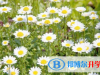 巴中2022年中考準考證丟了怎么辦