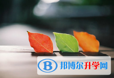 巴中2022年中考志愿填報技巧
