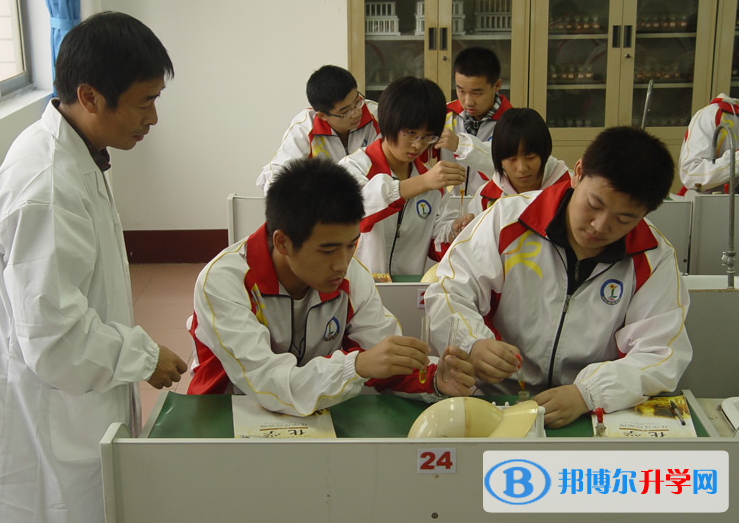 河北欒城中學2023年網站網址