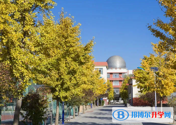 北京大興區第一中學2023年網站網址