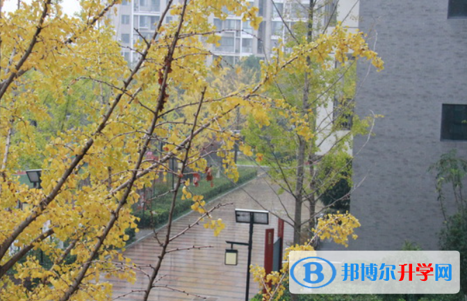 南京中華中學2023年網站網址 
