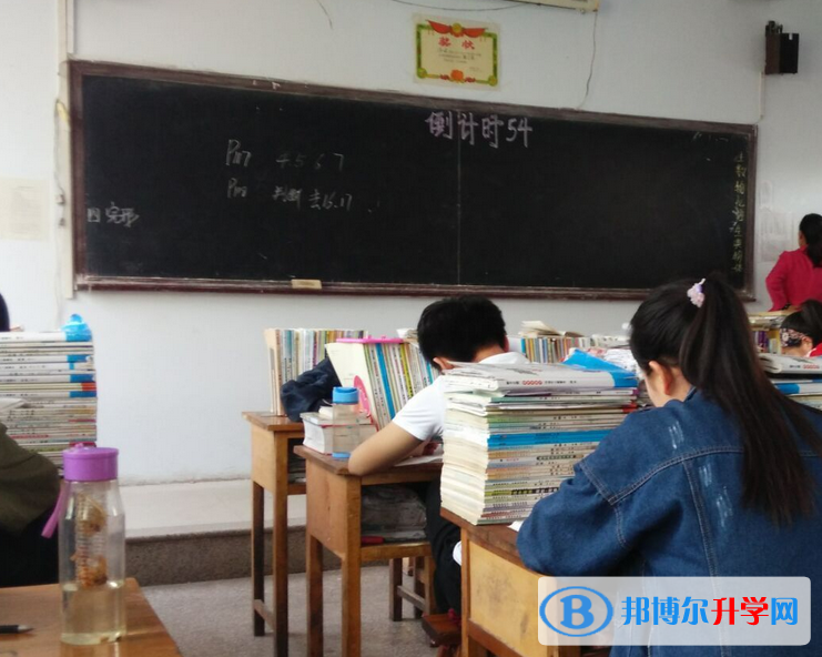藁城第二中學2023年學費、收費多少