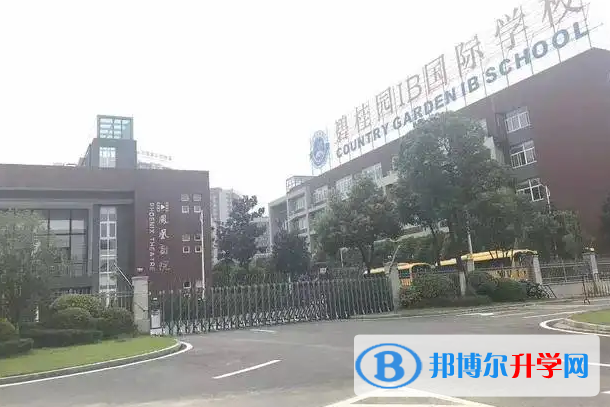 廣東碧桂園IB國際學校怎么樣