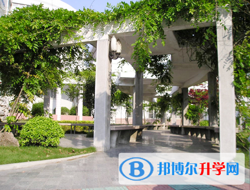 合肥第十中學2023年報名條件、招生要求、招生對象