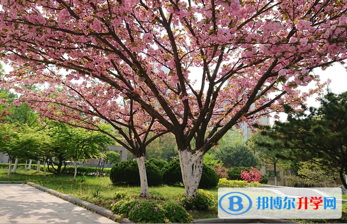 安徽廬江泥河中學2023年招生簡章 
