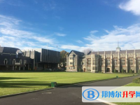2022青島實驗高中分數線（青島實驗高中）