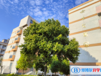 亳州蒙城第一中學怎么樣、好不好