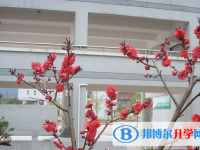 2025眉山市中考物理滿分是多少？