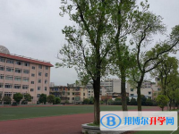 2025開封中考語文滿分是多少？