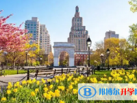 2025阜陽中考歷史滿分是多少？