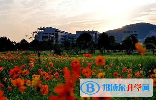 2023蕪湖中考道德與法制滿分是多少?