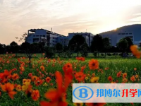 2025蕪湖中考道德與法制滿分是多少？