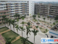 化州市中垌中學、合江中學錄取分數線(2023年參考)