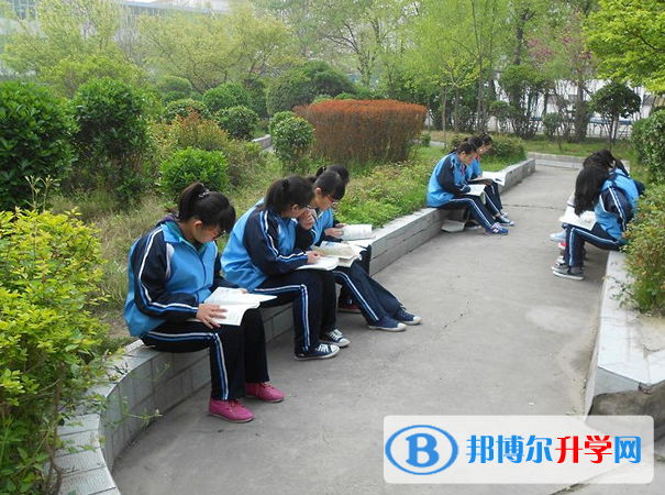 2022祁陽市陶鑄中學、郡祁學校錄取分數線(2023參考)