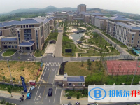 2022耒陽市振興學校、慈暉學校錄取分數線(2023參考)