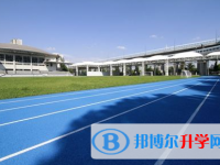 2022鎮平縣金陵外國語學校錄取分數線（2023參考）