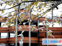 浙江省嘉興市第一中學怎么樣、好不好