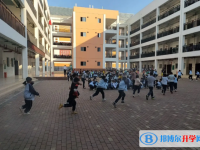 2022田東縣濱江學校錄取分數線(2023參考)