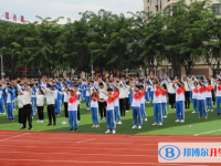 三亞市田家炳高級中學歷年招生分數線一覽表(2025參考)