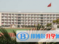 合肥中匯實驗學校、卓越中學錄取分數線(2023年參考)