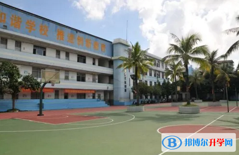 ?？谌A興學校地址在哪里，哪個地區，哪個城市?