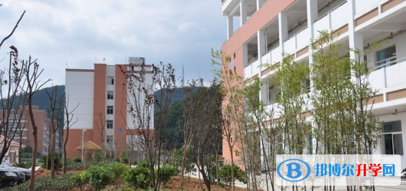 臺州市雙語高級中學、九峰高級中學錄取分數線(2023年參考)