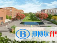 2025深圳市第二實驗中學招生計劃 招生人數是多少(附要求、條件、對象)