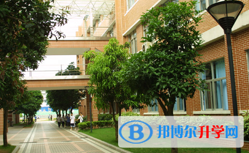 深圳市沙頭角中學地址，乘車路線