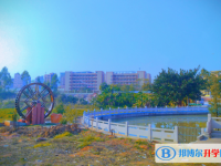 2025東源縣東源中學招生計劃 招生人數是多少(附要求、條件、對象)
