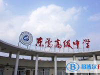 2025東莞高級中學招生計劃 招生人數是多少(附要求、條件、對象)