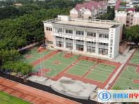 廣州市番禺區洛溪新城中學地址，乘車路線