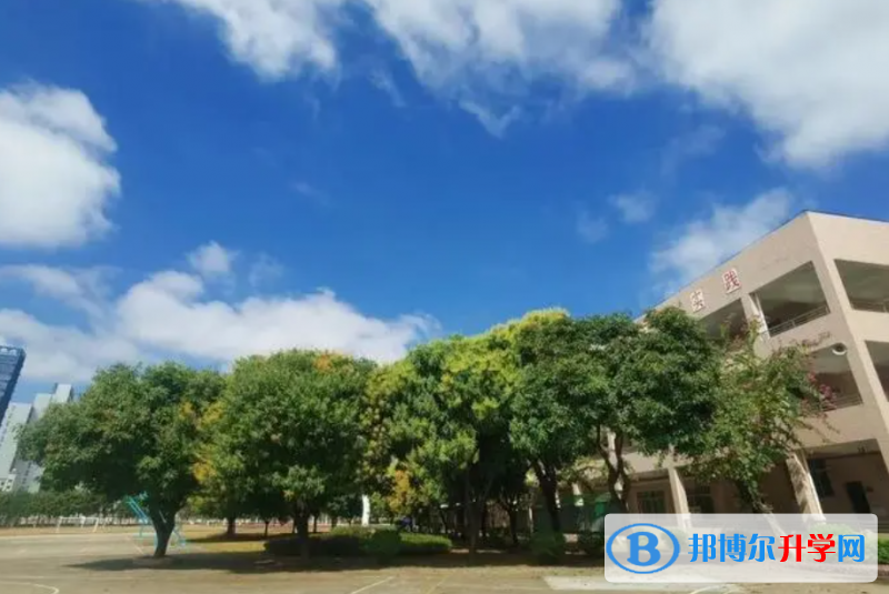 順德杏壇中學怎么樣、好不好