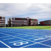 樂山市五通橋區東辰外國語學校