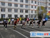 七臺河市第二中學地址，乘車路線