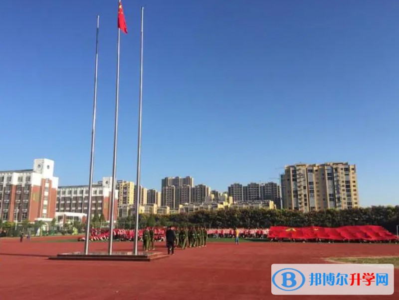 2024望奎縣第二中學招生計劃 招生人數是多少(附要求、條件、對象)