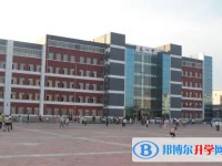 2025肇東市第四中學校招生計劃 招生人數是多少(附要求、條件、對象)