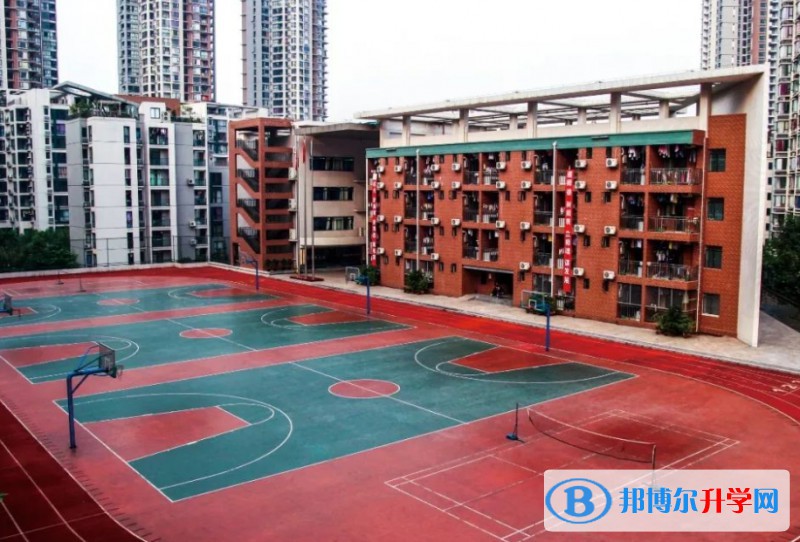 重慶市第八中學校(沙坪壩校區)招生簡章2024年