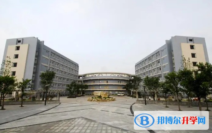 2024重慶市第八中學校(沙坪壩校區)招生計劃 招生人數是多少(附要求、條件、對象)
