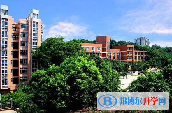 2024重慶市朝陽中學校招生計劃 招生人數是多少(附要求、條件、對象)