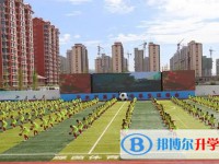 2025新樂新伏羲中學招生計劃 招生人數是多少(附要求、條件、對象)