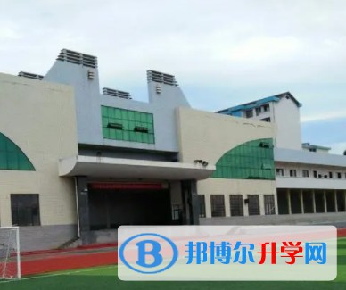 2024成安縣第三中學招生計劃 招生人數是多少(附要求、條件、對象)