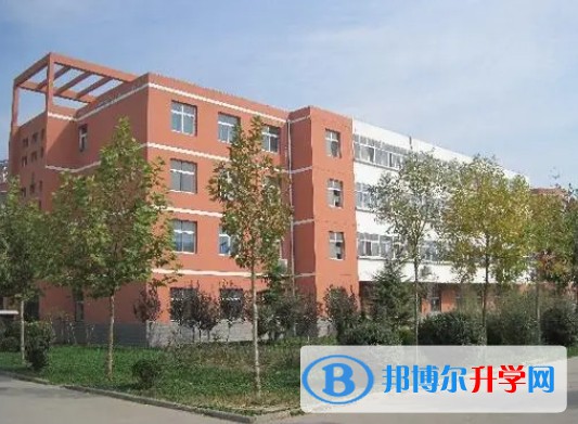 2024肥鄉區第一中學招生計劃 招生人數是多少(附要求、條件、對象)