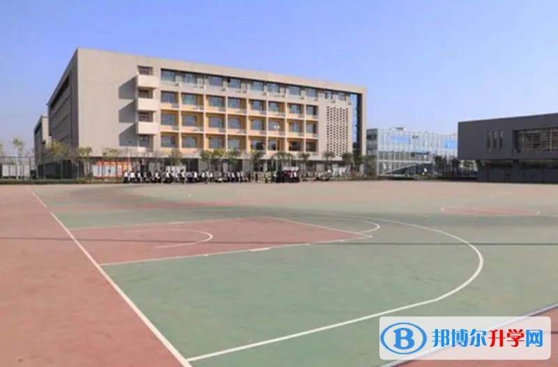 2025邢臺精英中學招生計劃 招生人數是多少(附要求、條件、對象)